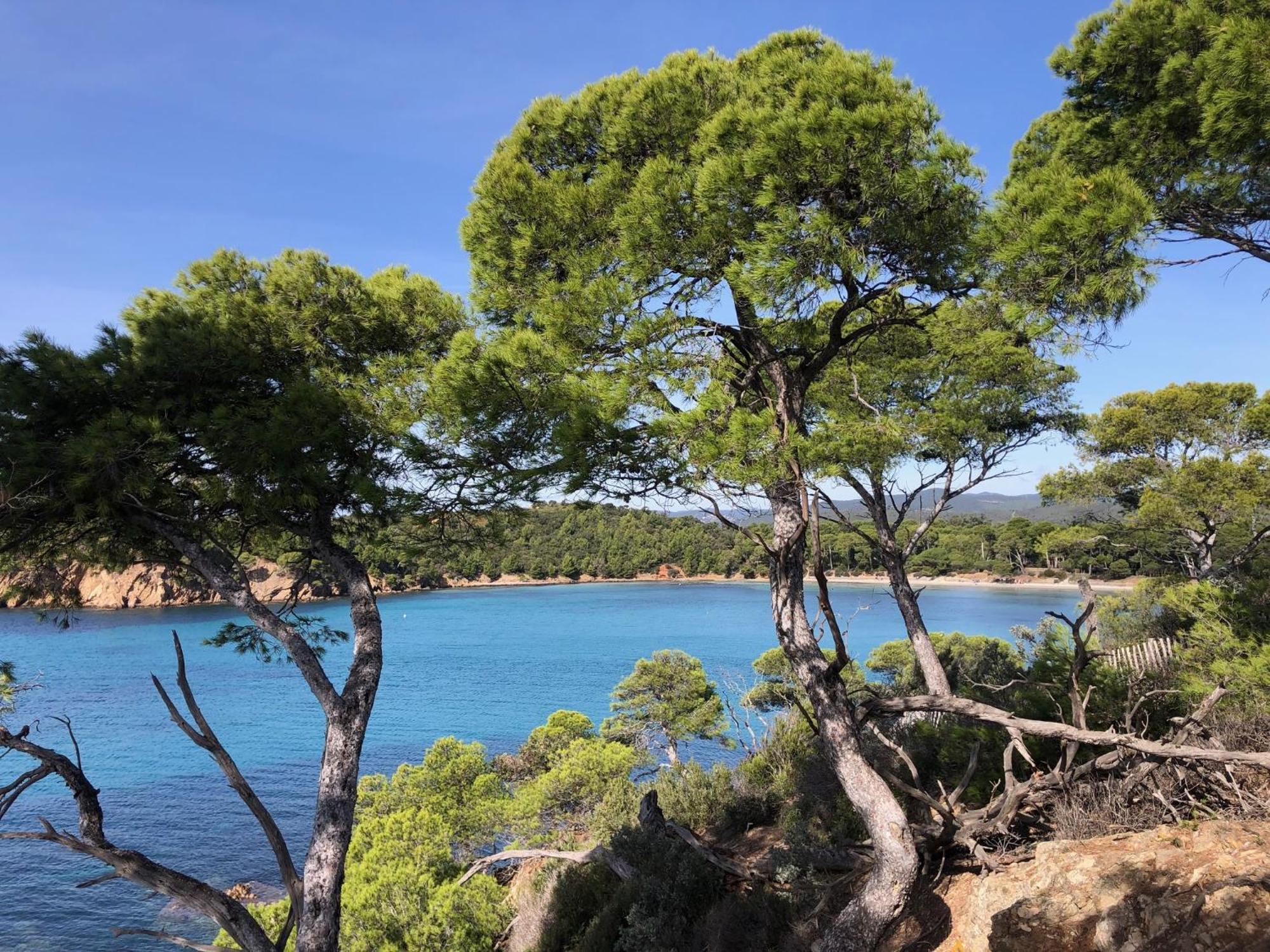 Anglade Hotel Le Lavandou Extérieur photo